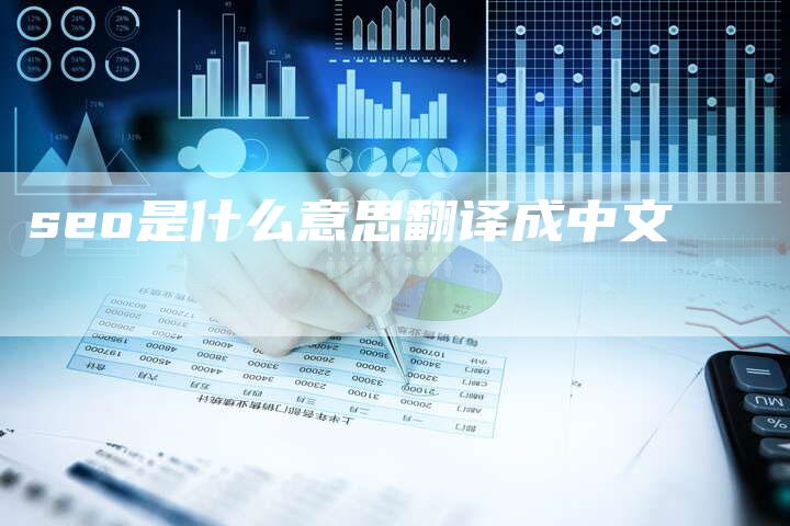 seo是什么意思翻译成中文
