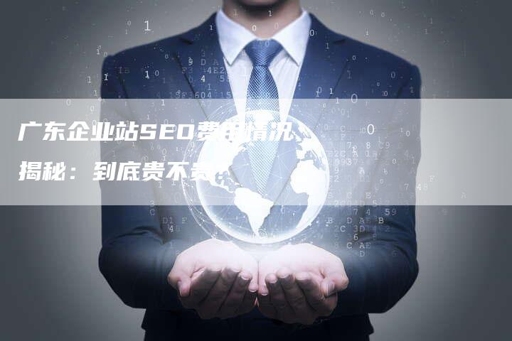 广东企业站SEO费用情况揭秘：到底贵不贵？