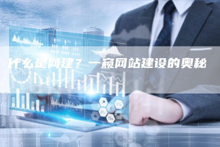 什么是网建？一窥网站建设的奥秘