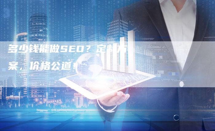 多少钱能做SEO？定制方案，价格公道！