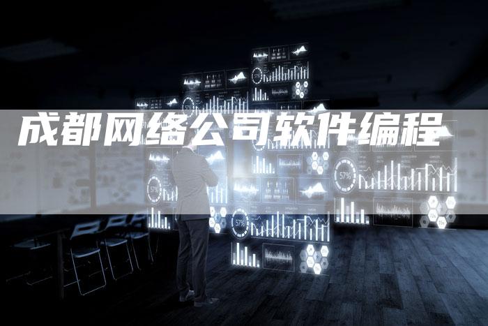 成都网络公司软件编程