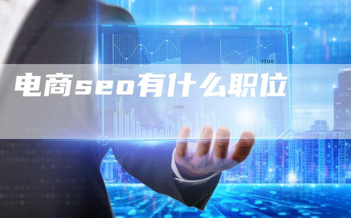 电商seo有什么职位