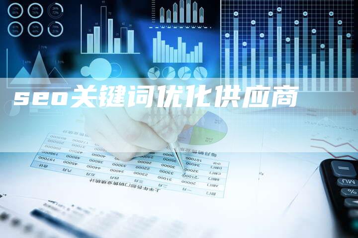 seo关键词优化供应商
