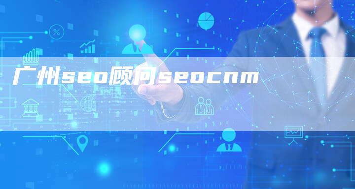 广州seo顾问seocnm