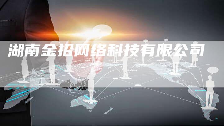 湖南金招网络科技有限公司