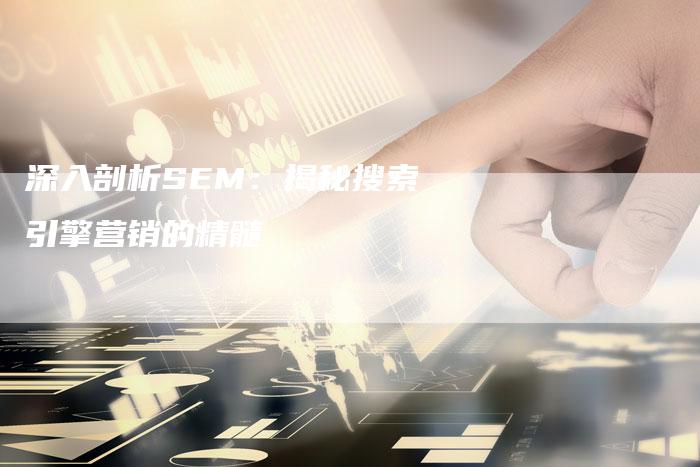 深入剖析SEM：揭秘搜索引擎营销的精髓