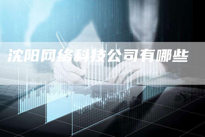 沈阳网络科技公司有哪些