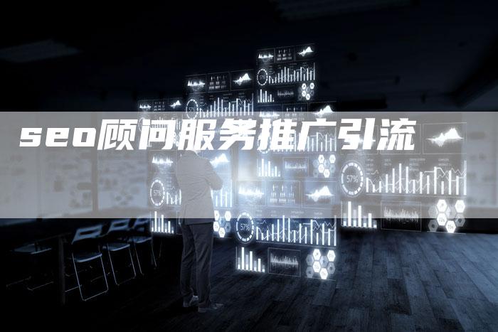 seo顾问服务推广引流